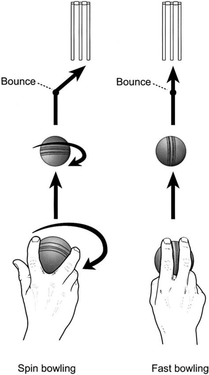 Is spin bowling better than fast bowling?