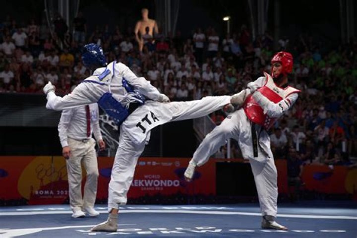 Is Taekwondo a type of kung fu?