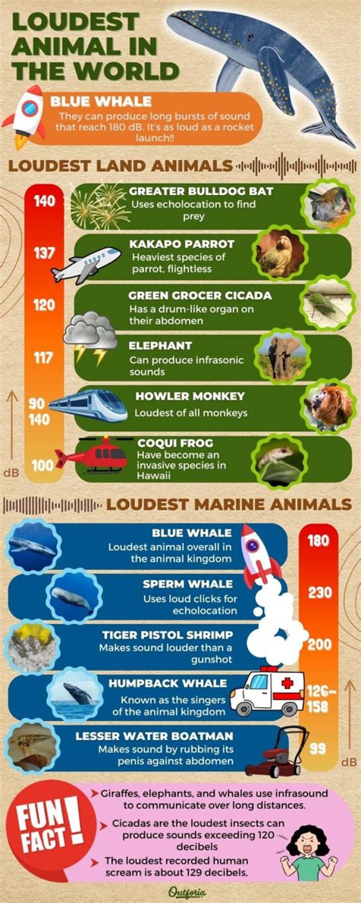 What animal screams loudest?
