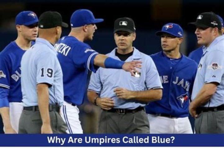 What are baseball umpires called?