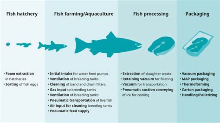 What are some items that are commonly farmed in aquaculture?