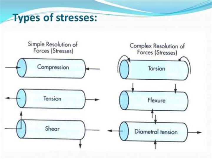 What are the 3 types of stress?