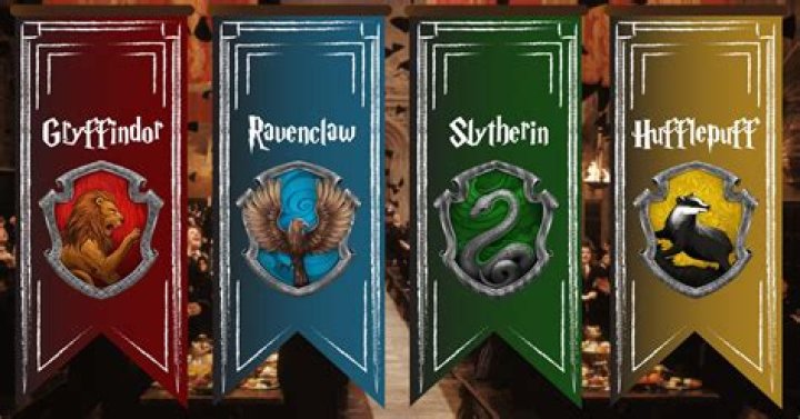 What are the 5 Hogwarts houses?