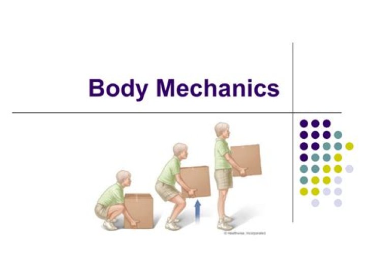 What are the basic body mechanics?