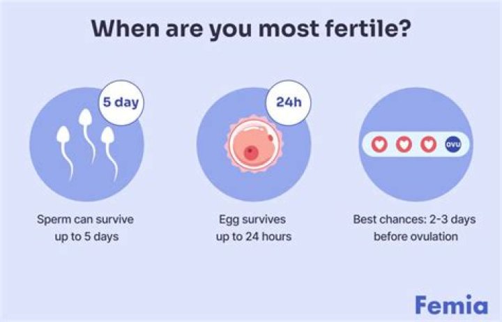 What are the chances of sperm 5 days?