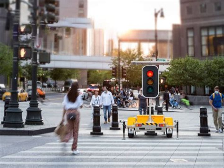 What are the little black things on traffic lights?