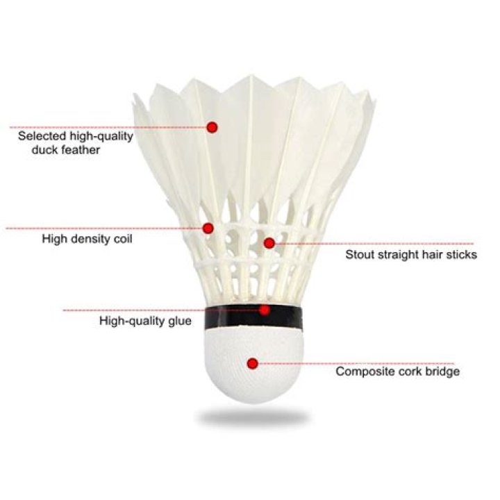 What are the part of shuttlecock?