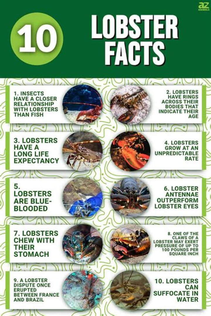 What are three facts about lobsters?