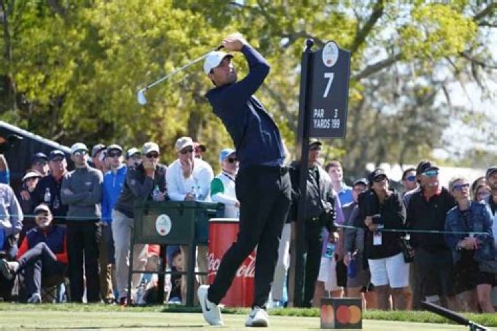 What ball do LPGA players use?