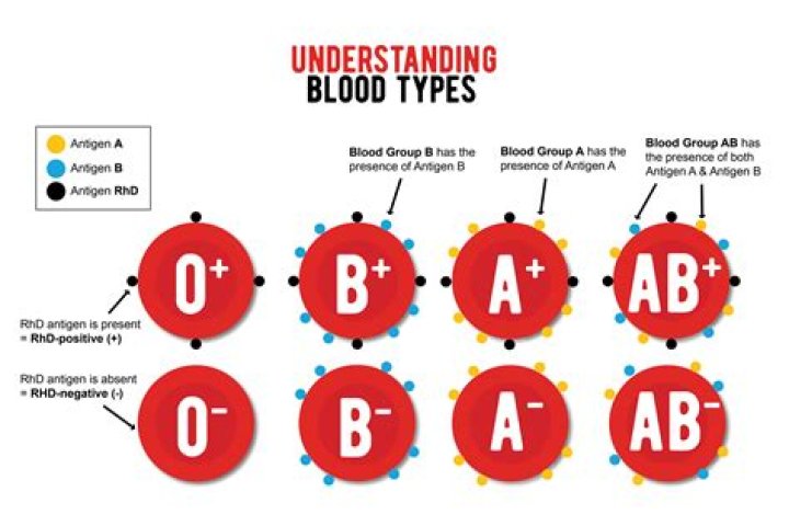 What blood type is the most healthy?