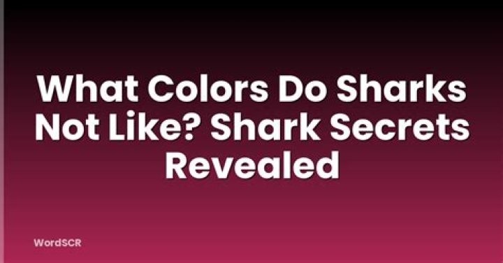 What color do sharks not see?