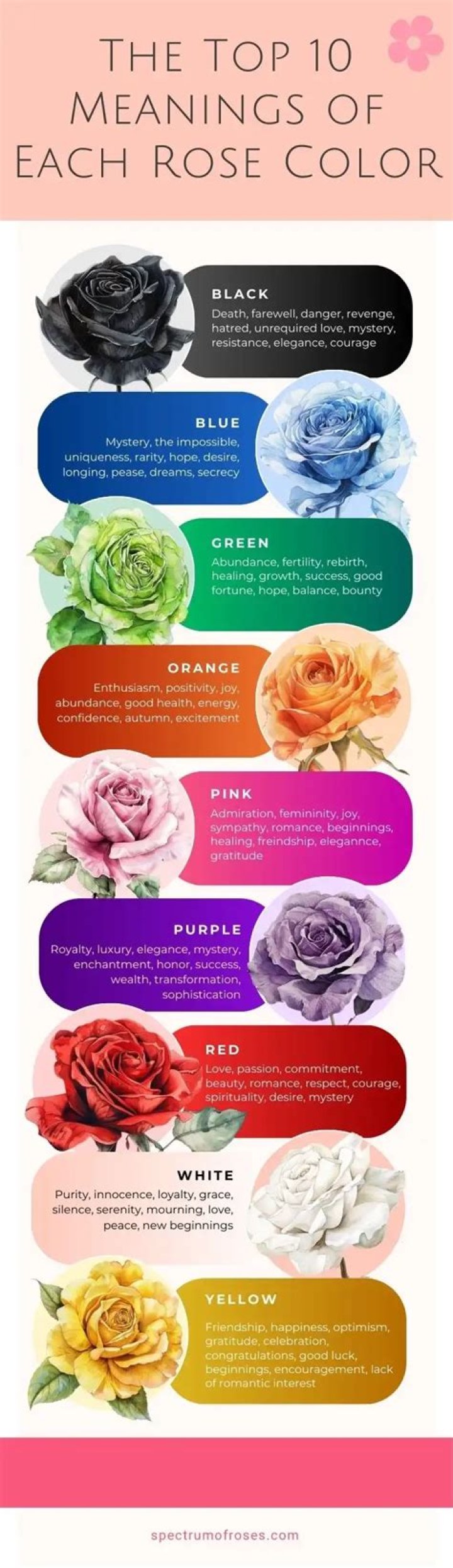 What color rose mean death?