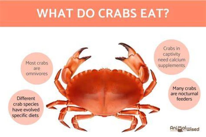 What crab is easiest to eat?