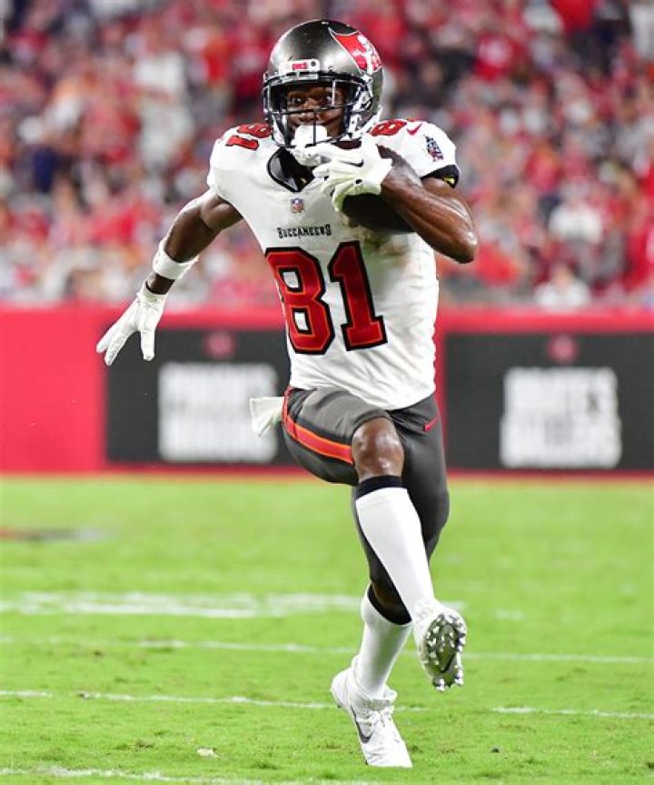 What did Antonio Brown say about Tom Brady?