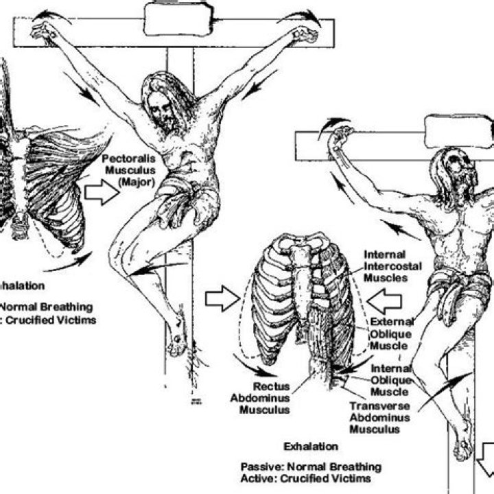 What did Jesus do after he was crucified?