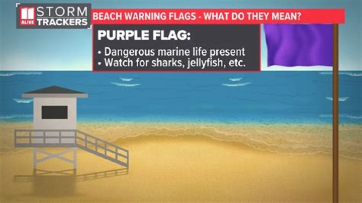 What do black flags mean at the beach?