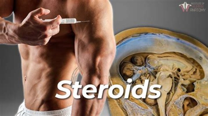 What do steroids do for a person?