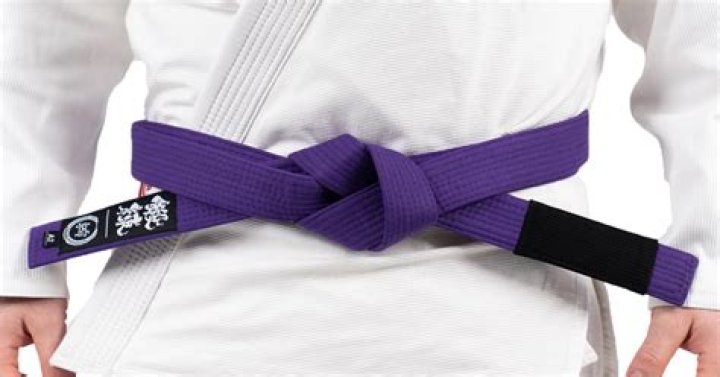 What does a purple belt mean in BJJ?