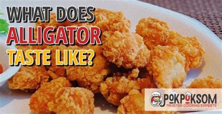 What does alligator taste like?