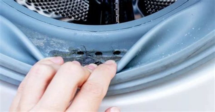 What does Mrs Hinch clean her washing machine with?