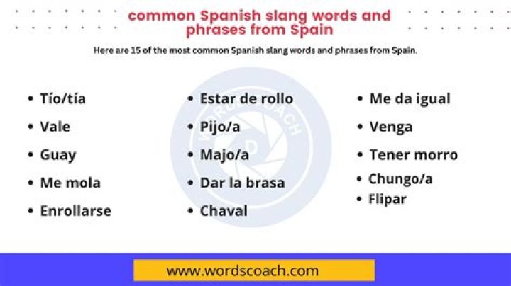 What does paisa mean in Spanish slang?