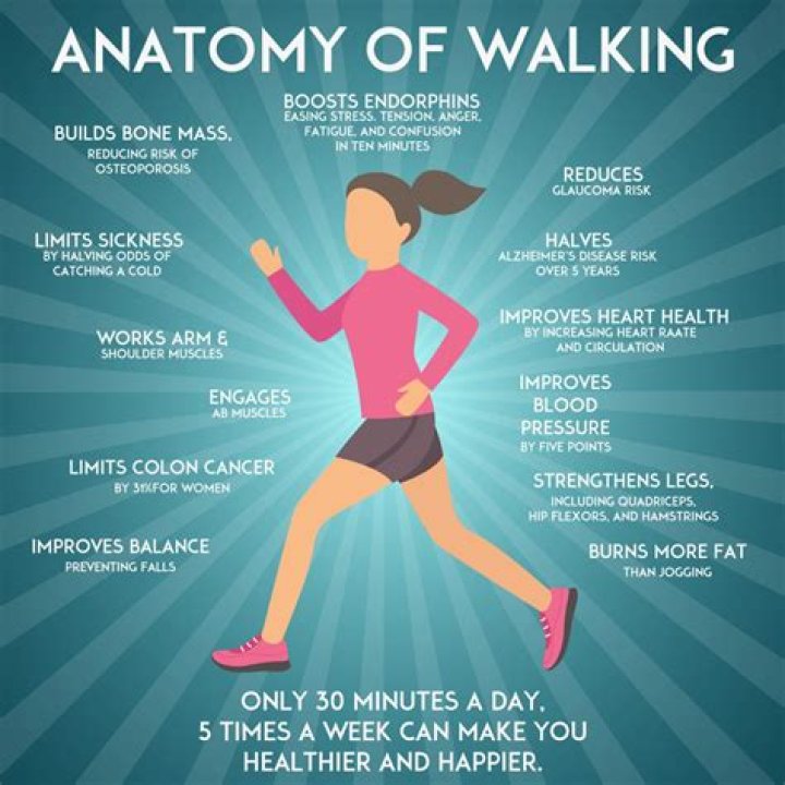 What does walking do to your bum?