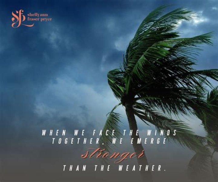 What does weathered many storms mean?