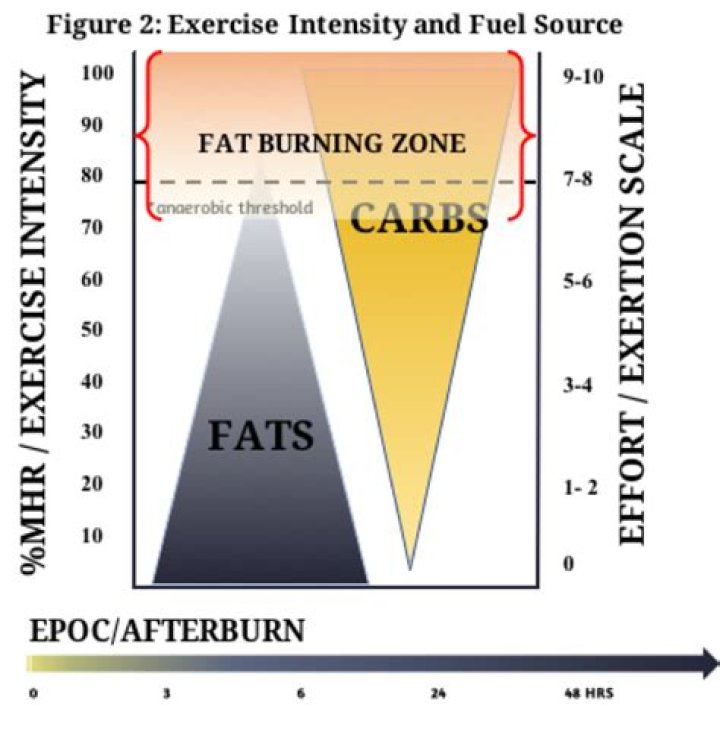 What exercise burns the most carbs?