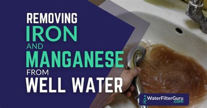 What filter removes manganese?