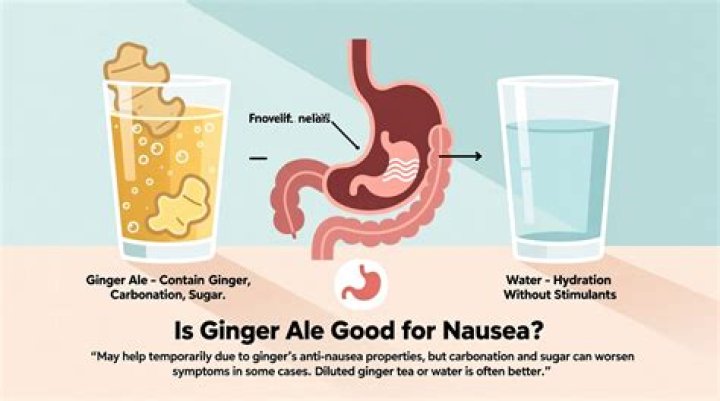 What ginger ale is the healthiest?