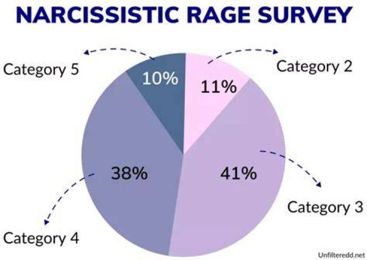What happens during narcissistic rage?