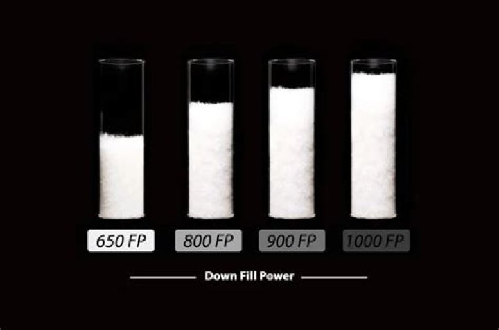 What is 600 fill down?