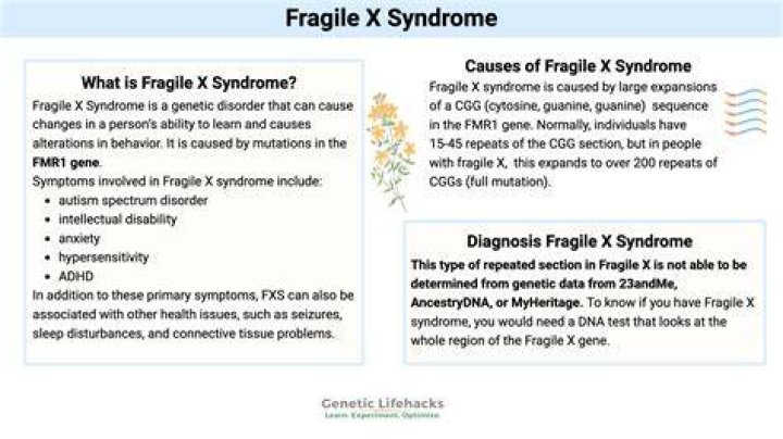 What is a fragile person?