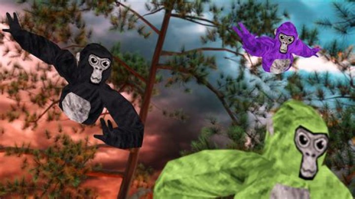 What is a gorilla pull-up?