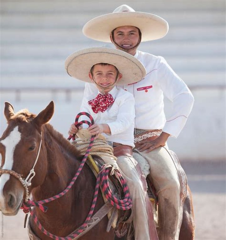 What is a Mexican hat horse?
