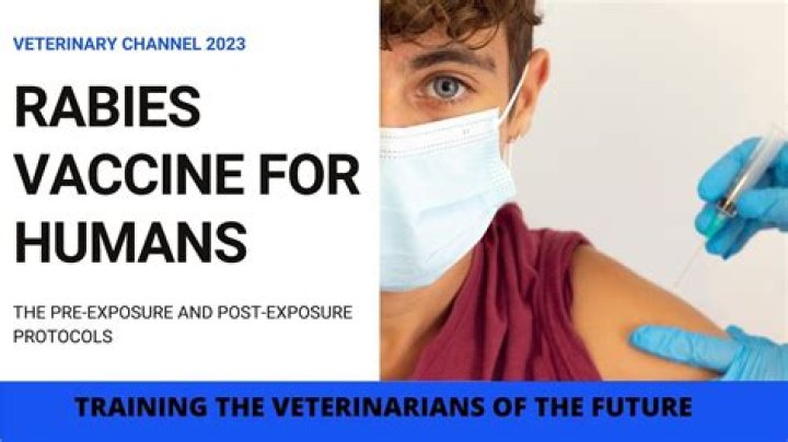 What is a rabies shot like for humans?