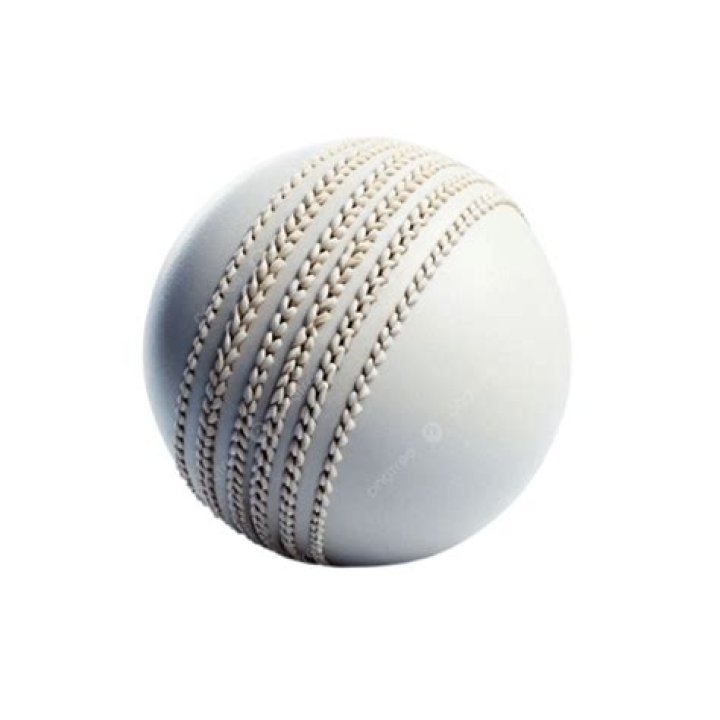 What is a white ball cricket?