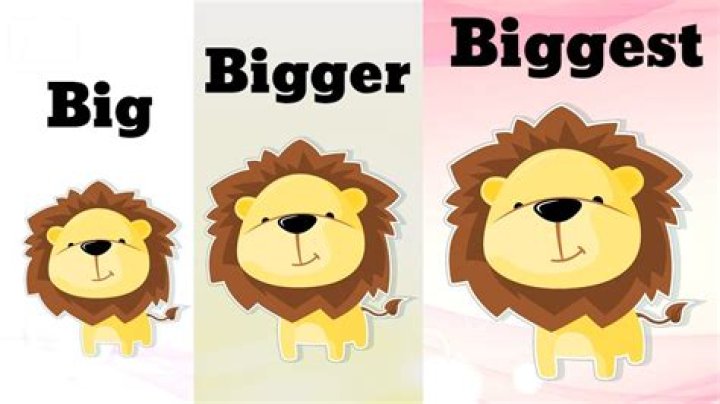 What is bigger large or big?