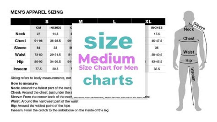 What is cadet medium size?