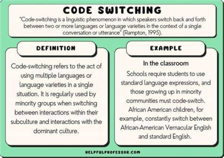 What is code-switching PDF?