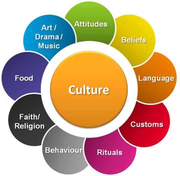 What is culture in social studies?