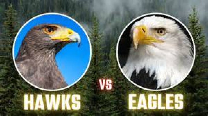 What is Hawk Eye used for?