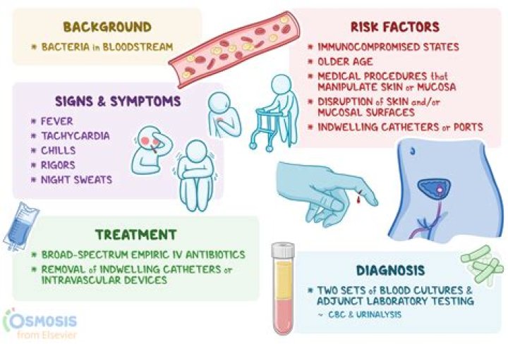What is Lactobacillus bacteremia?