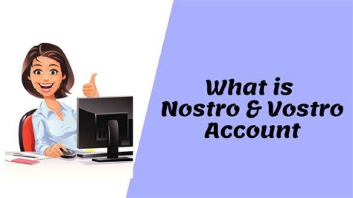 What is meant by vostro account?