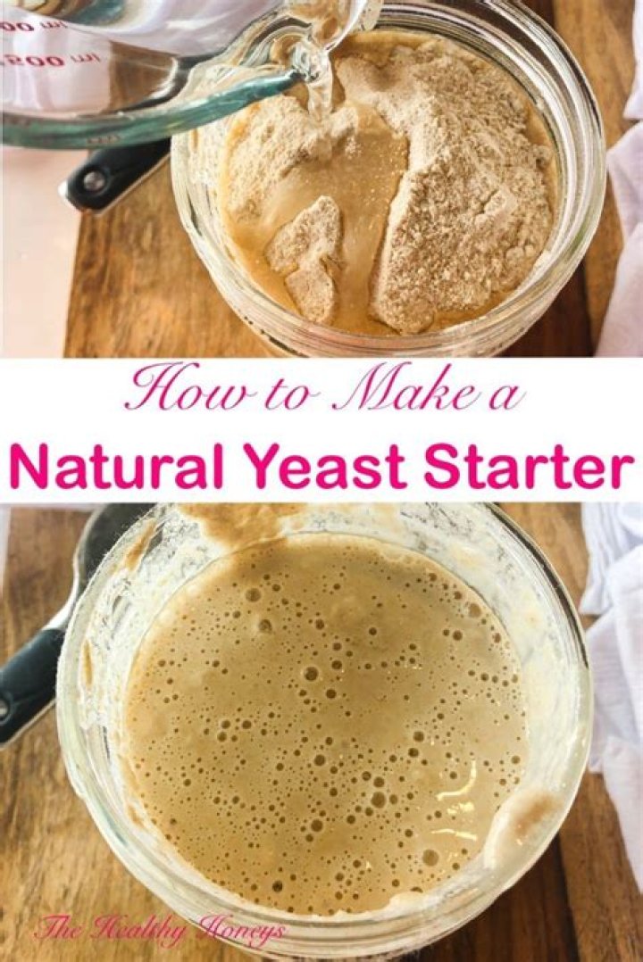 What is natural yeast starter?