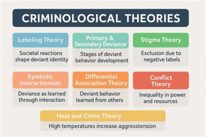 What is positivist theory in criminology?