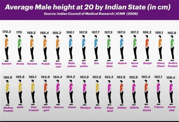 What is the average height of a Cherokee Indian?
