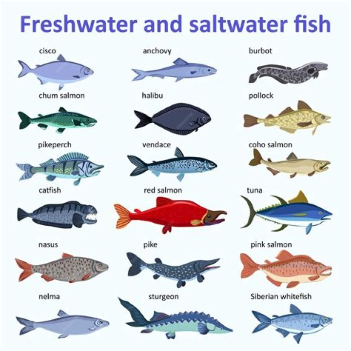 What is the best eating freshwater fish?