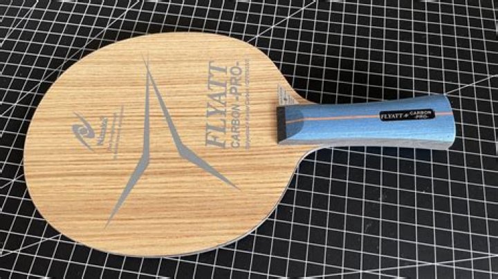 What is the best table tennis paddle?
