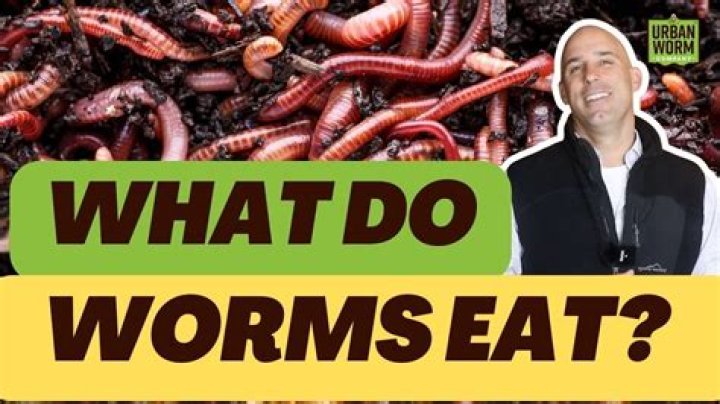 What is the best way to eat worms?